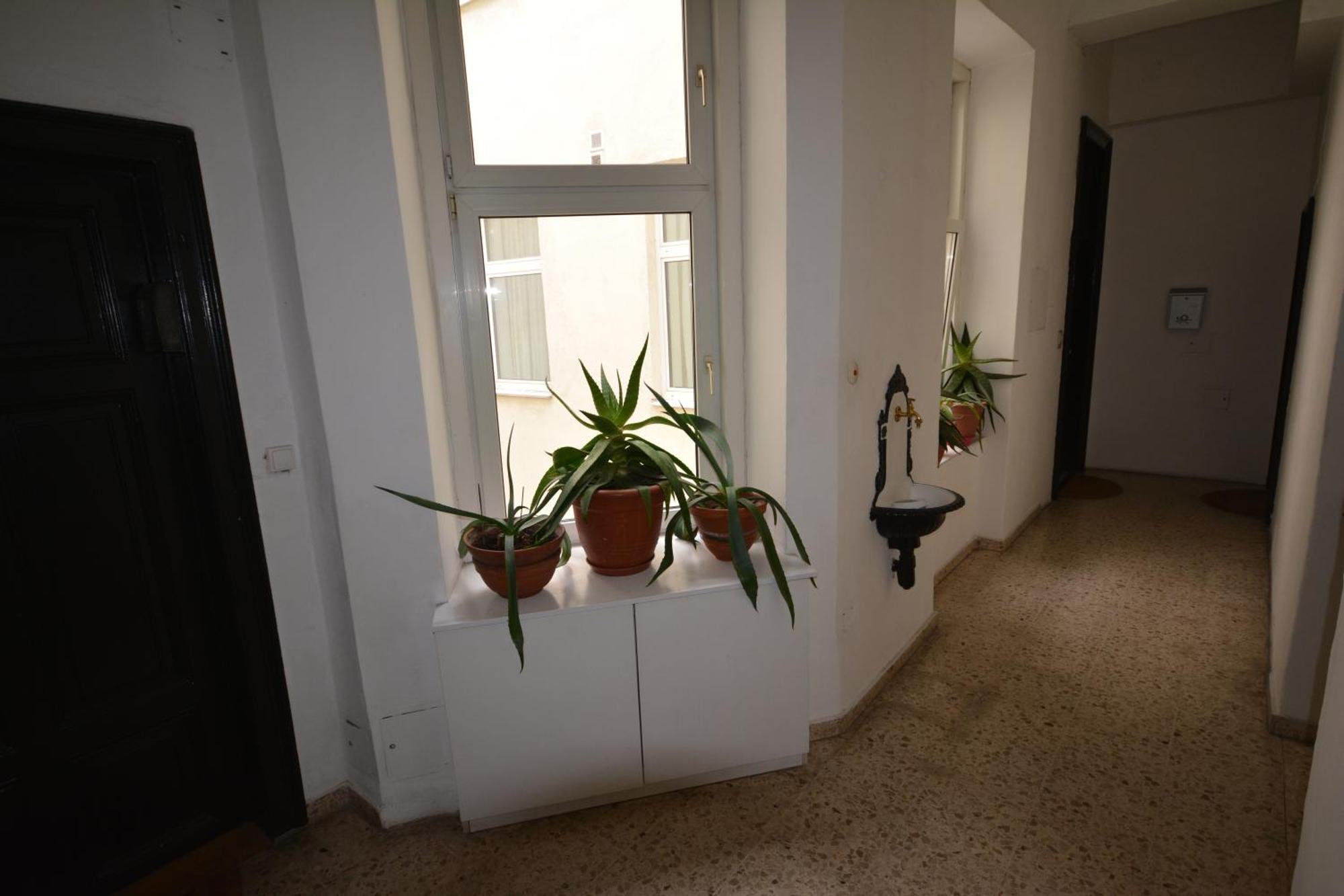 Vienna Holiday Apartments Eksteriør billede